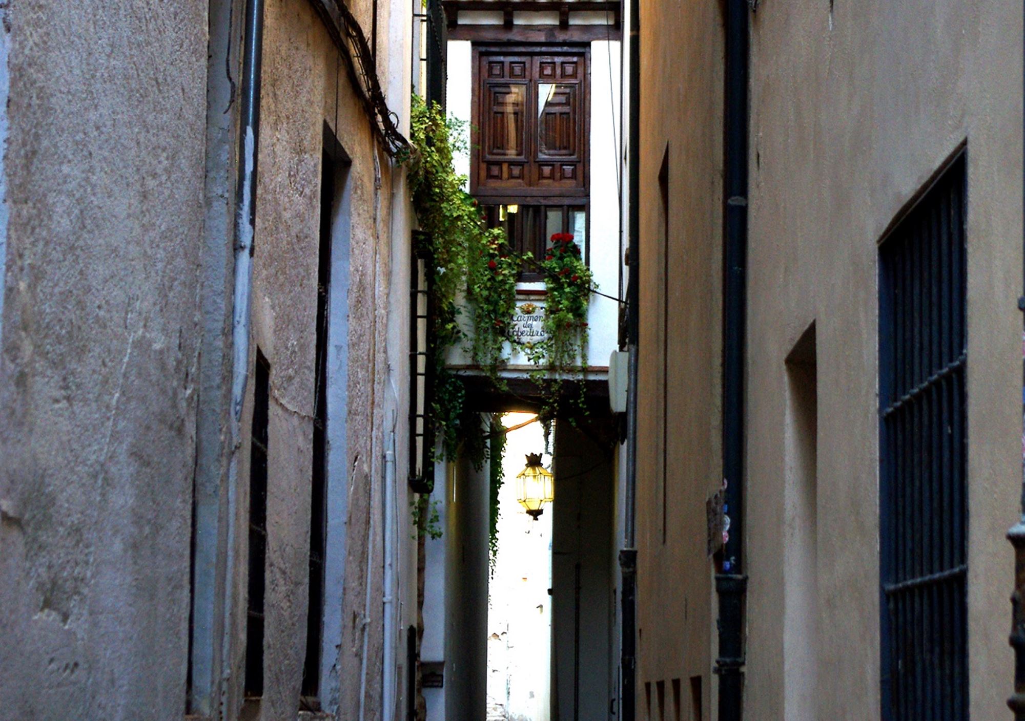 guided visits Walking Secret Albaicín